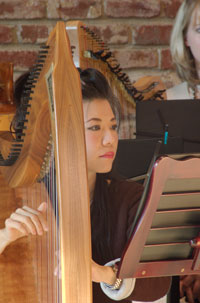 Harp musician plays in concert