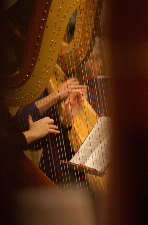 Harpist San Jose and Sonoma County Concert Photos 20 Harps for the