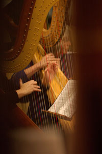 Closeup of harps in concert